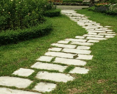Landscaping in the garden. The path in the garden